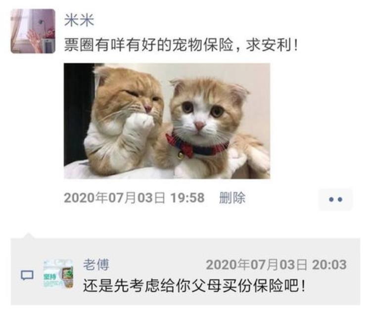 养猫人才会有的5个特质一看就知道他养了猫藏不住的