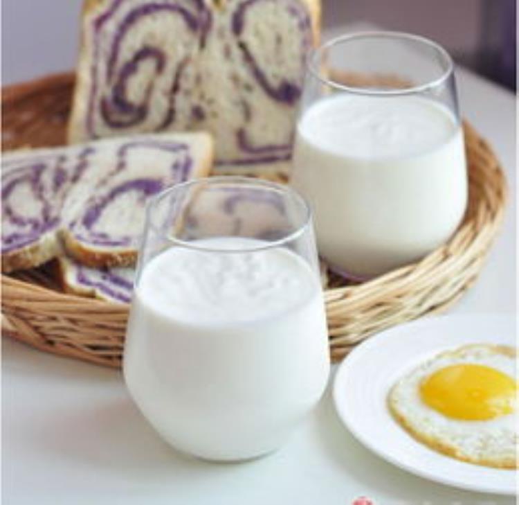 酸奶发酵过程中的主要发酵菌种有,制作酸奶添加哪些菌种