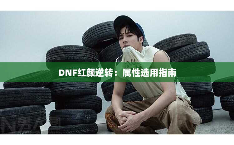 DNF红颜逆转：属性选用指南