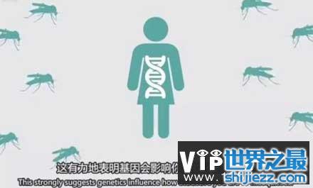 容易招蚊子和基因有关是真的吗？ 