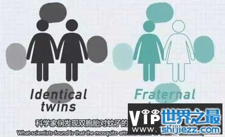 容易招蚊子和基因有关是真的吗？ 