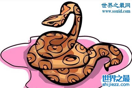 民间关于蛇的传说，关于蛇的故事大全 