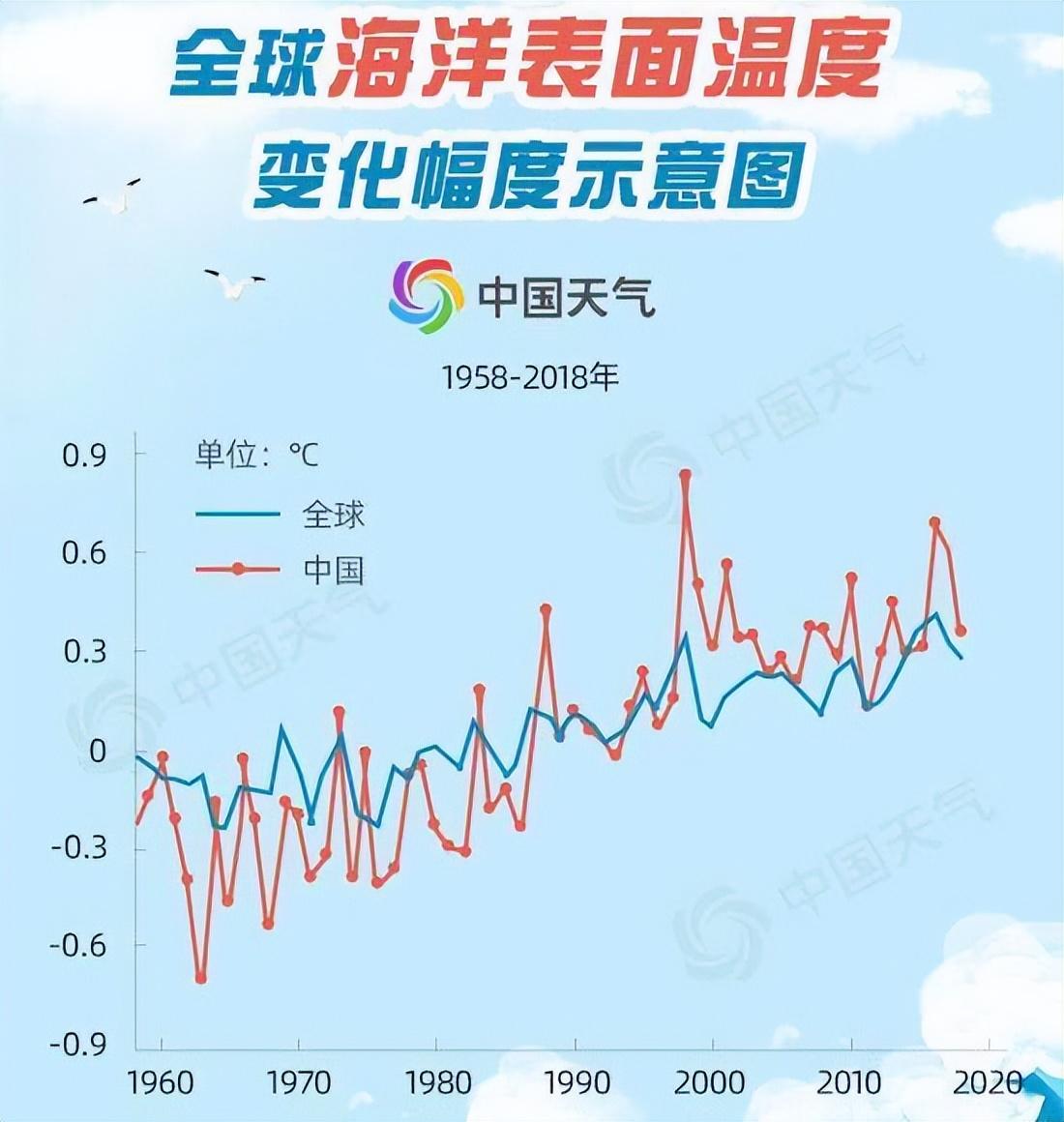 有剧毒！日本一港口现大量海胆聚集，未来还会增多，预示着什么？ 