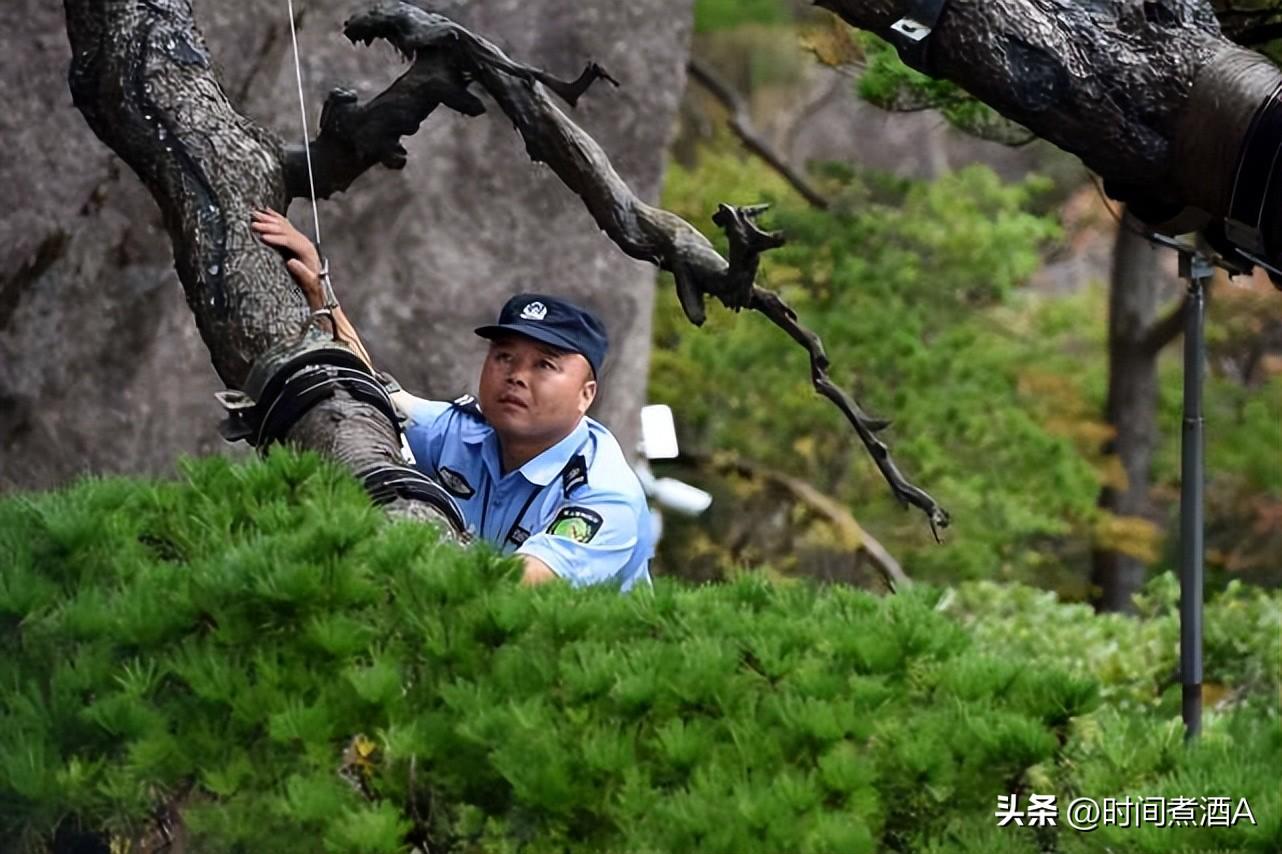 我国罕见的三棵树，1棵警卫24小时保护，1棵号称“地球独子” 