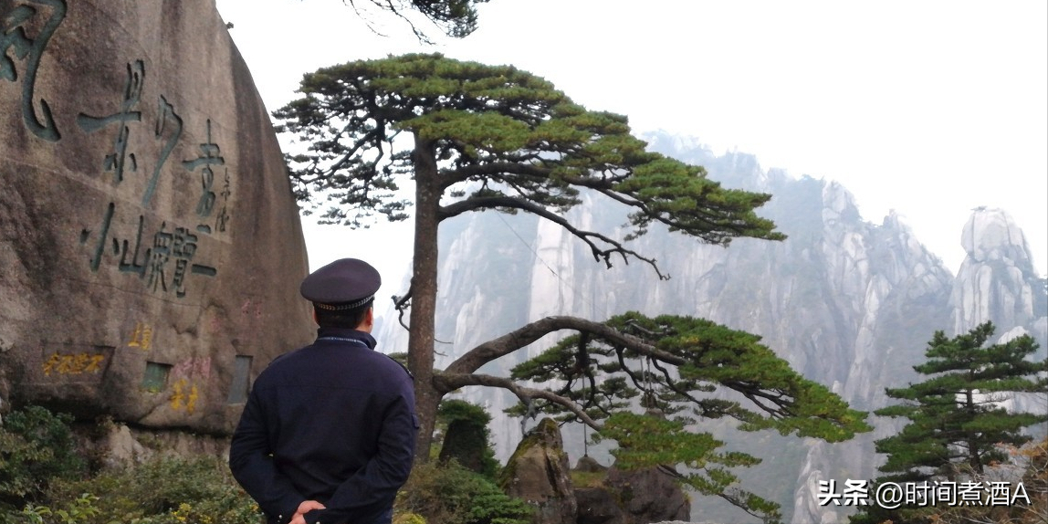 我国罕见的三棵树，1棵警卫24小时保护，1棵号称“地球独子” 