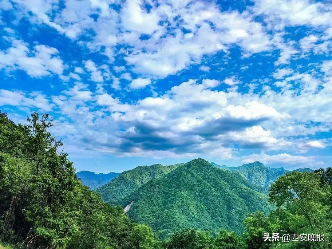 中国最“绿”区域在哪儿？猜你会答错 