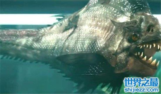 巨型食人鱼长到3米长，光是嘴就宽1米多会攻击游泳者 
