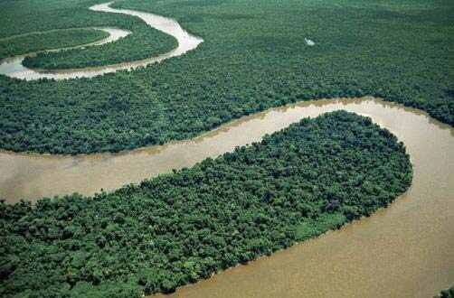 世界最长的河流是哪一条？世界十大最长河流排名